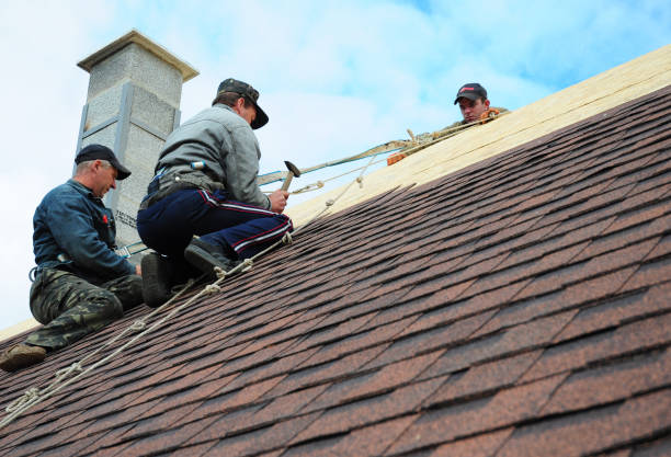 Best Roof Leak Repair  in Lmar, DE